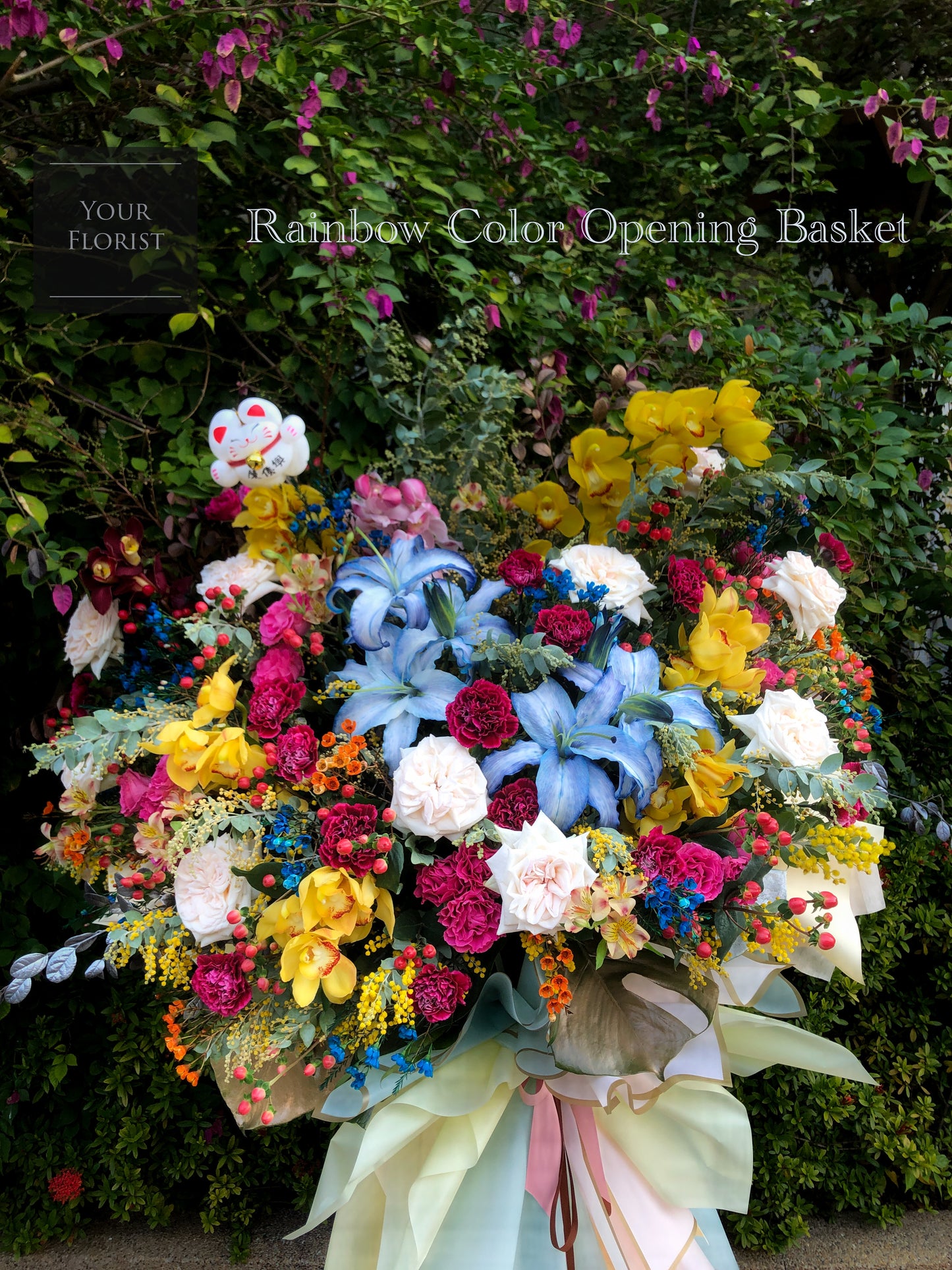 Orchid with Rainbow Color Opening Flower Basket 蕙蘭開張花籃