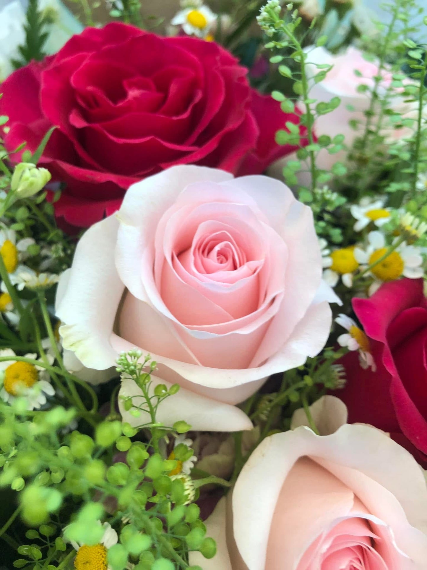 9 Imported Pink Rose & Deep Pink Rose Bouquet 九支進口粉紅色玫瑰加桃紅色玫瑰花束