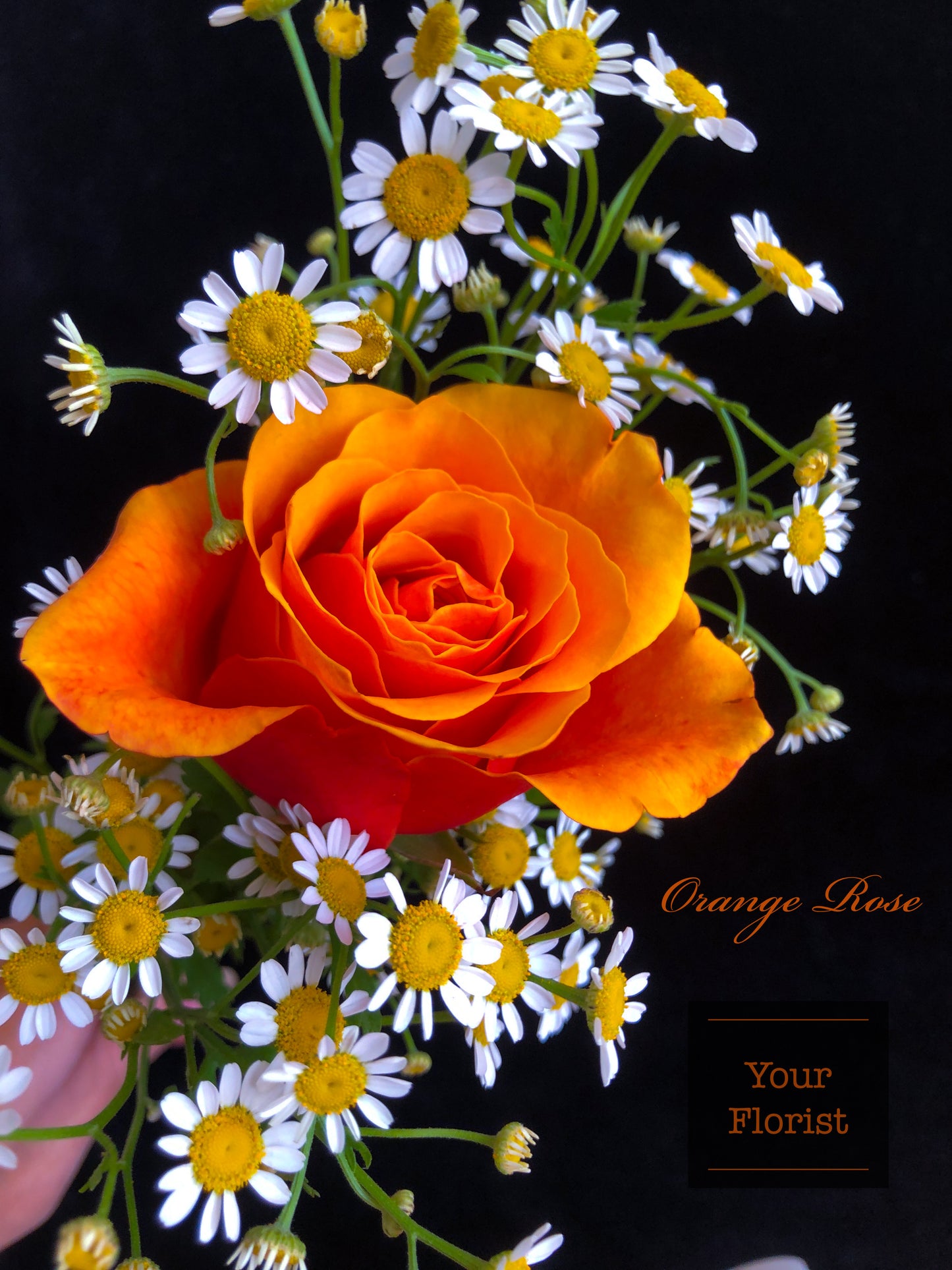Orange Rose Light Yellow Carnation Hand Tied Bouquet橙玫瑰淺黃康乃馨手棒花束
