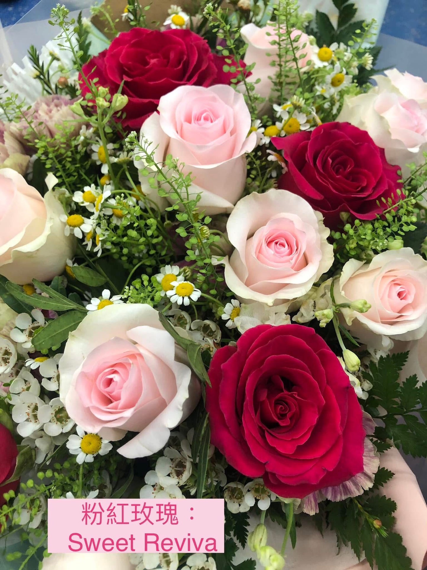 9 Imported Pink Rose & Deep Pink Rose Bouquet 九支進口粉紅色玫瑰加桃紅色玫瑰花束