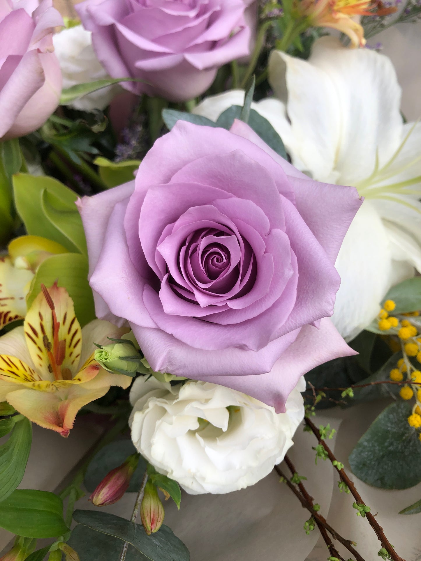 9 Purple Rose with Orchid Bouquet 9枝紫玫瑰+蕙蘭花束 (架構花束)