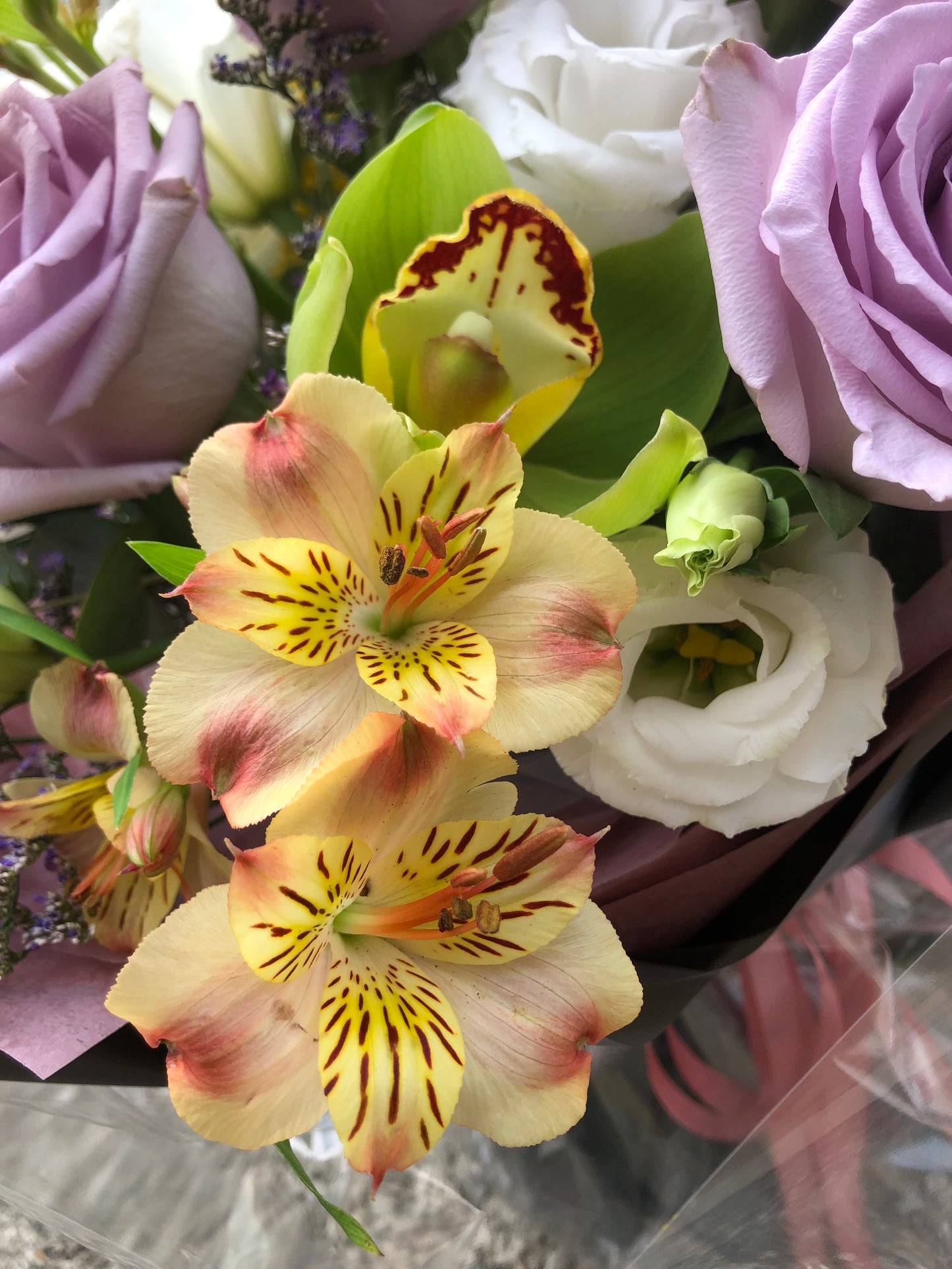 9 Purple Rose with Orchid Bouquet 9枝紫玫瑰+蕙蘭花束 (架構花束)