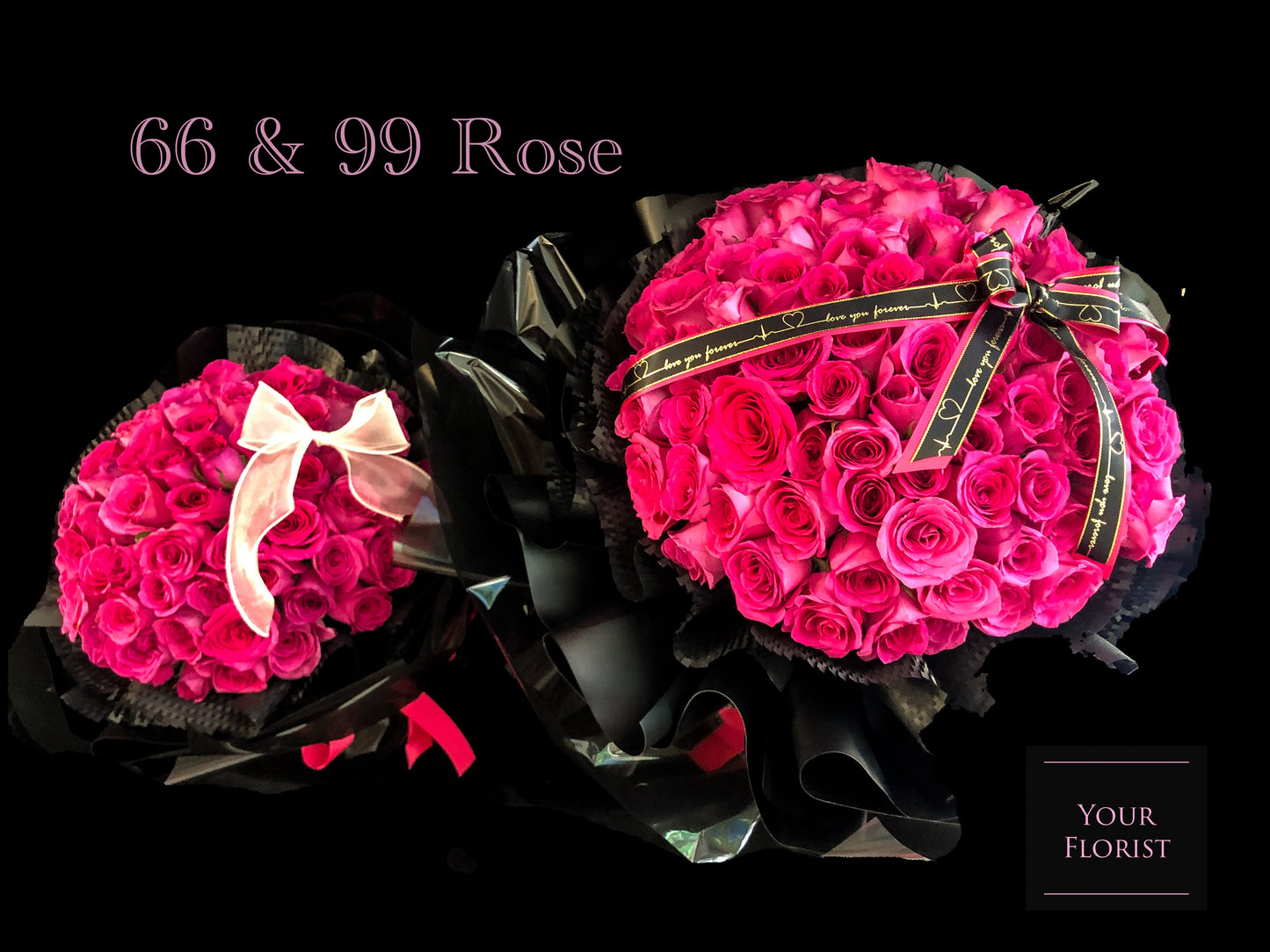 66Deep Pink Rose Bouquet 66枝桃紅玫瑰花束