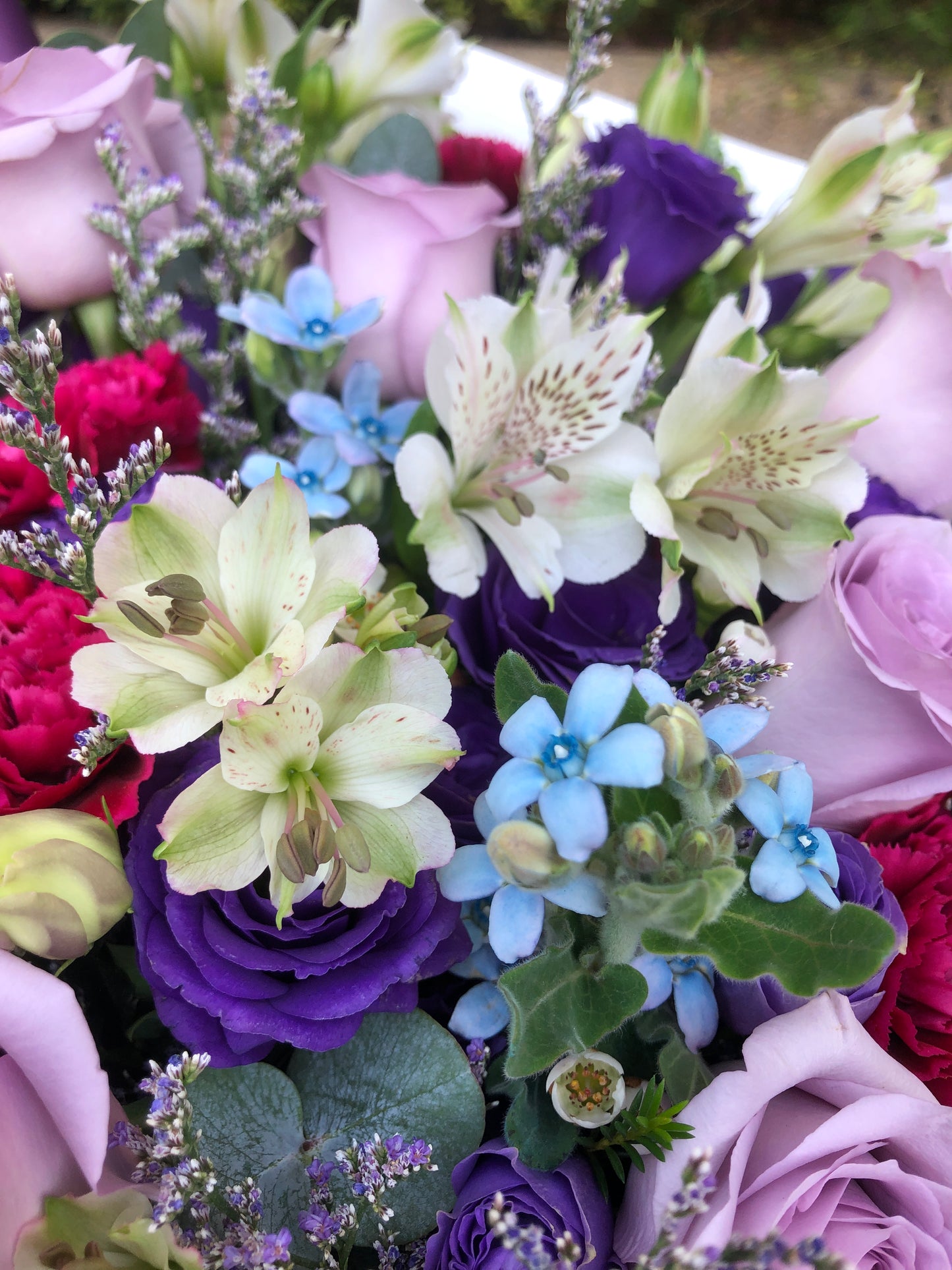 12 Ocean Song Purple Rose Bouquet 12枝海洋之歌紫玫瑰花束