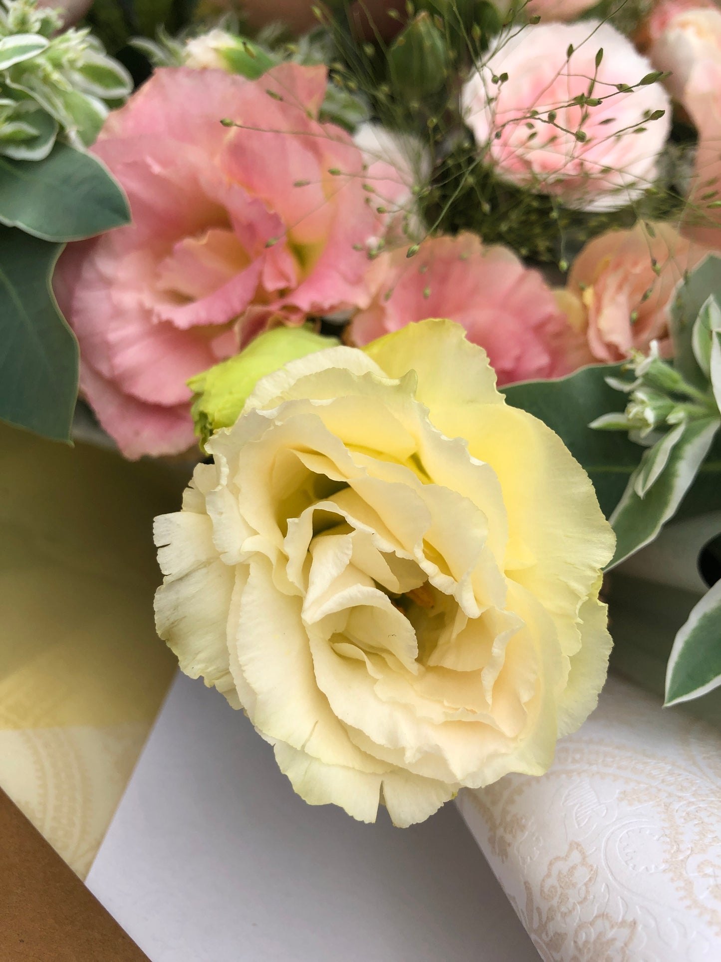 9 Heart Shape Garden Rose Bouquet 9枝庭園玫瑰花束
