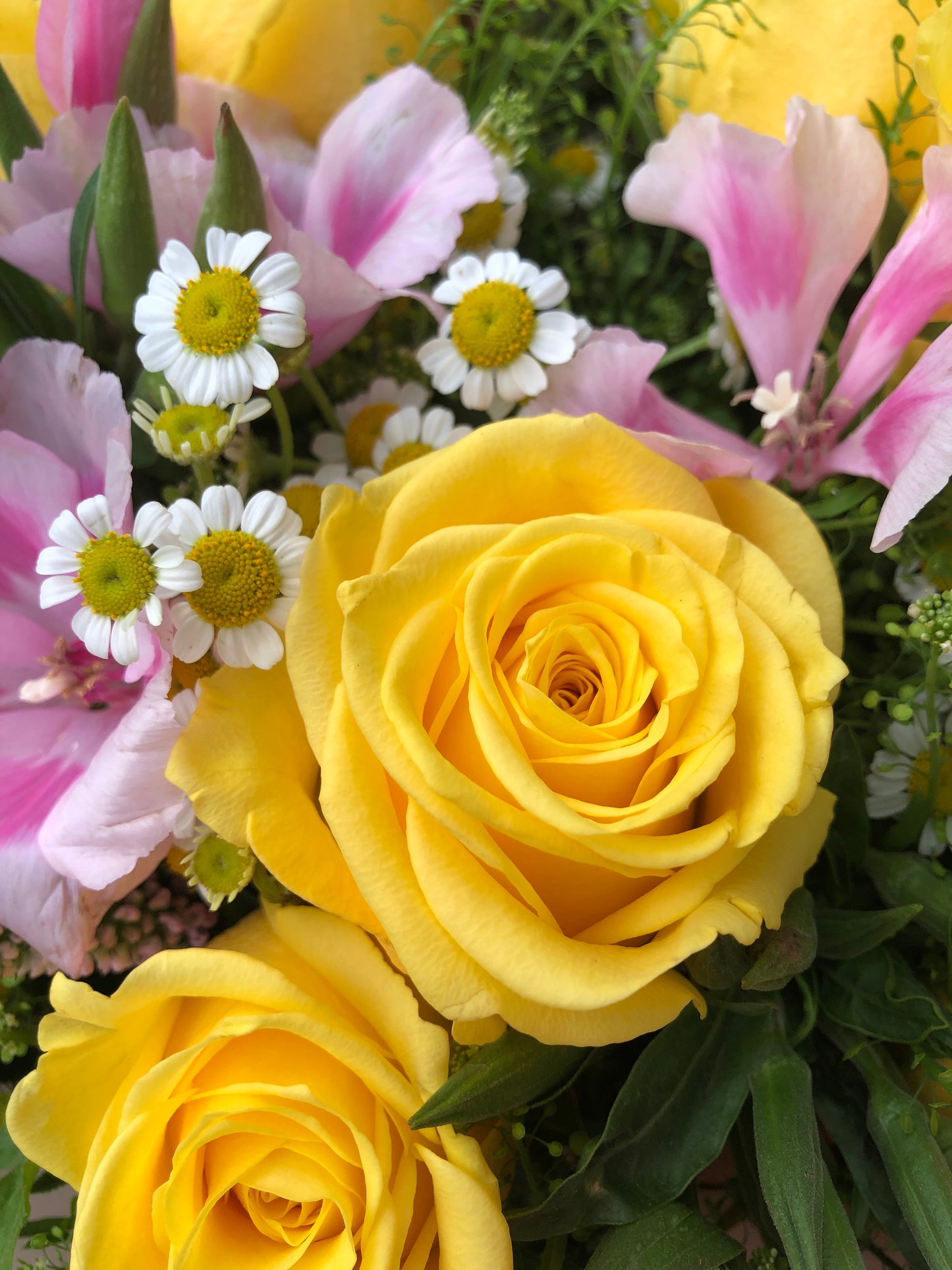 12 Yellow Rose Bouquet 黃玫瑰花束