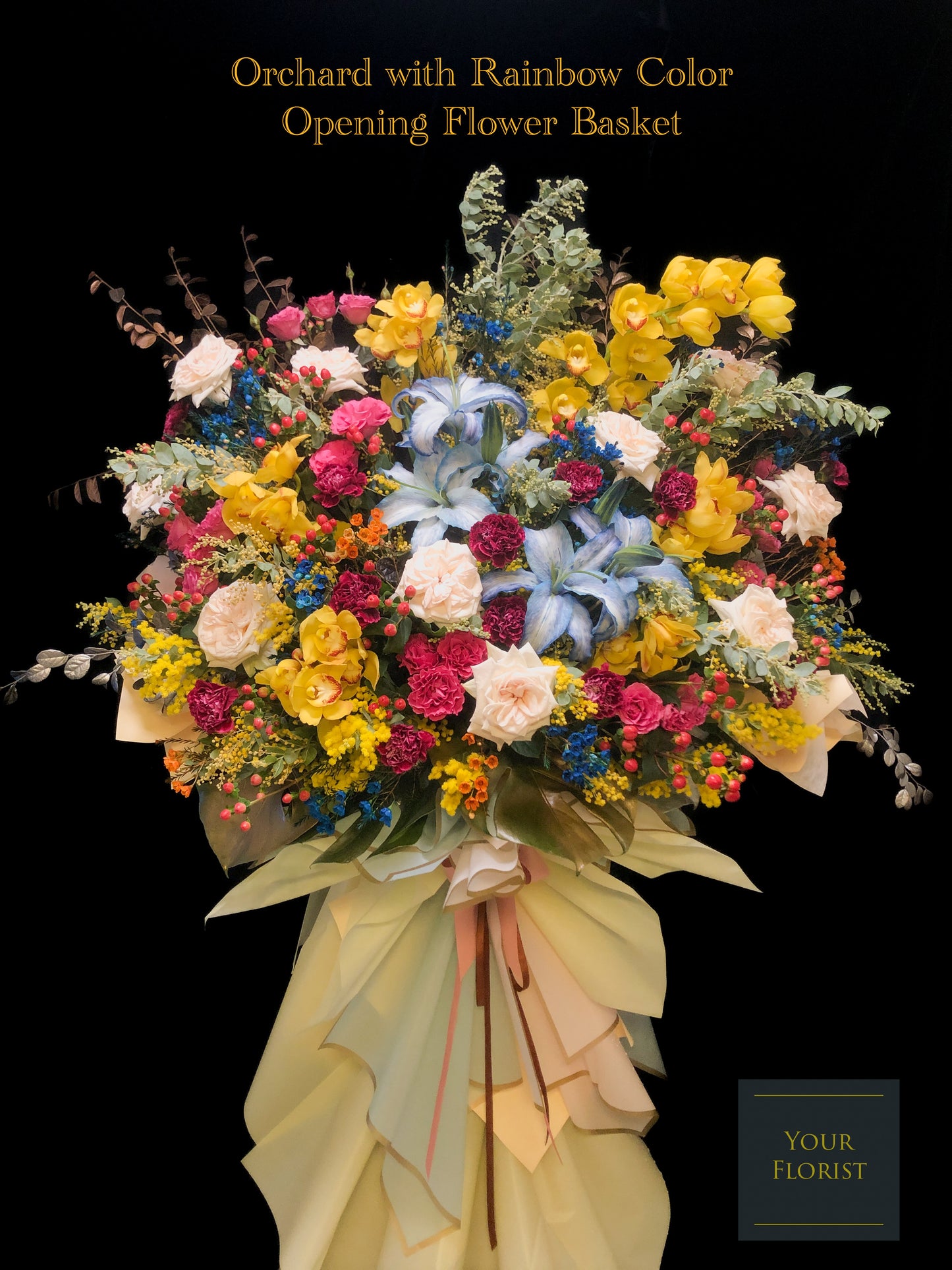 Orchid with Rainbow Color Opening Flower Basket 蕙蘭開張花籃