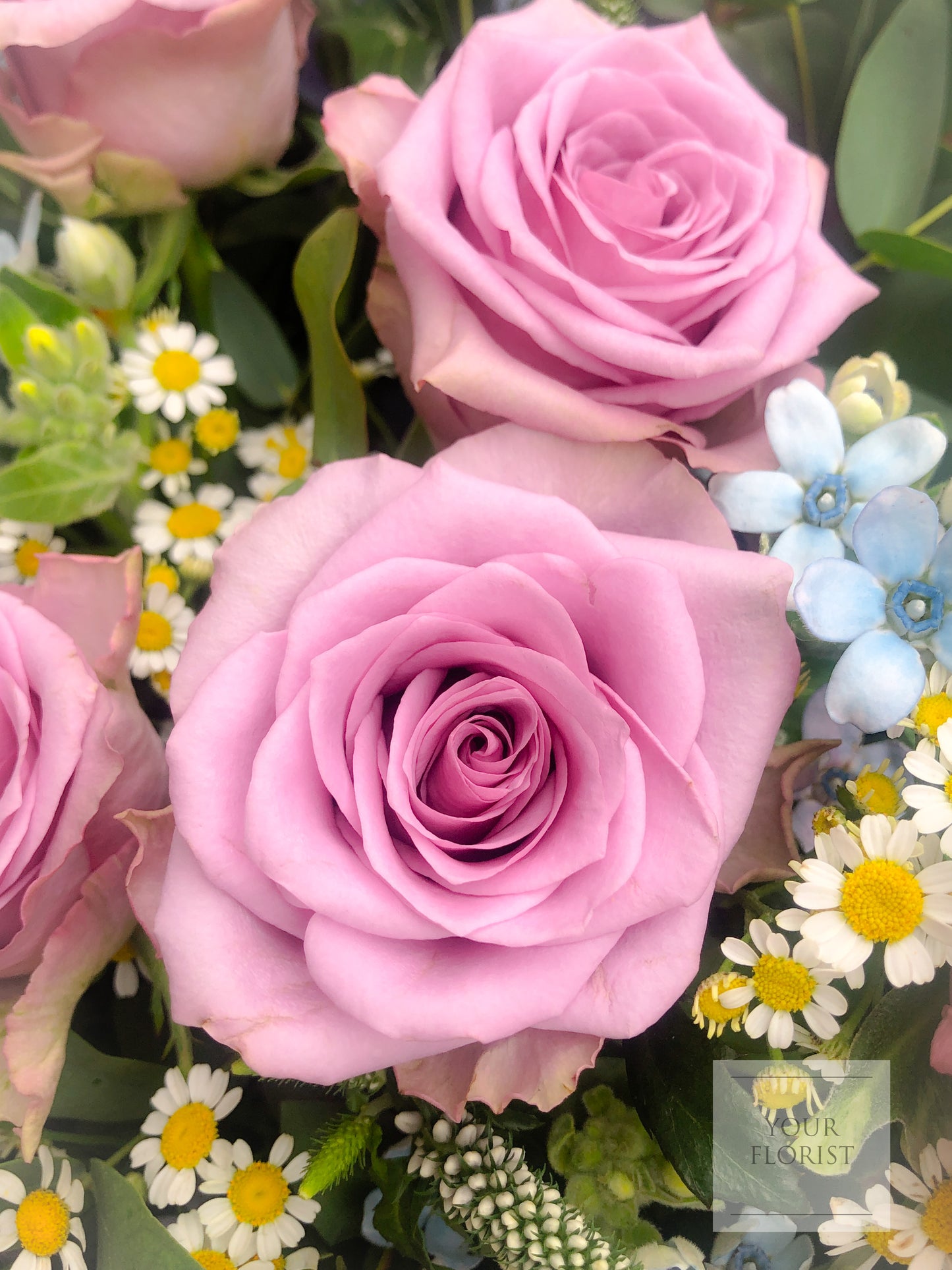 10 Purple Rose Bouquet