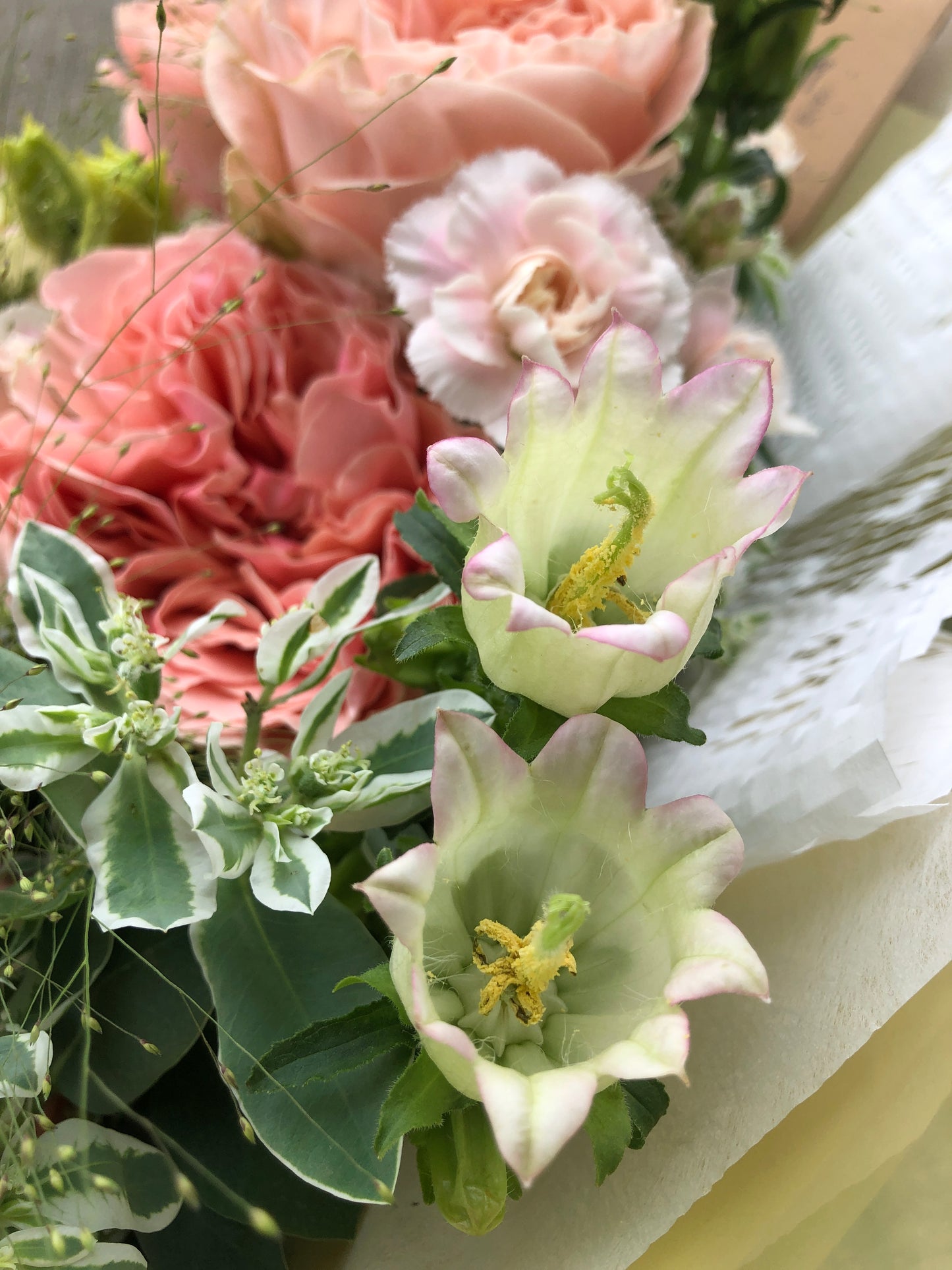 9 Heart Shape Garden Rose Bouquet 9枝庭園玫瑰花束