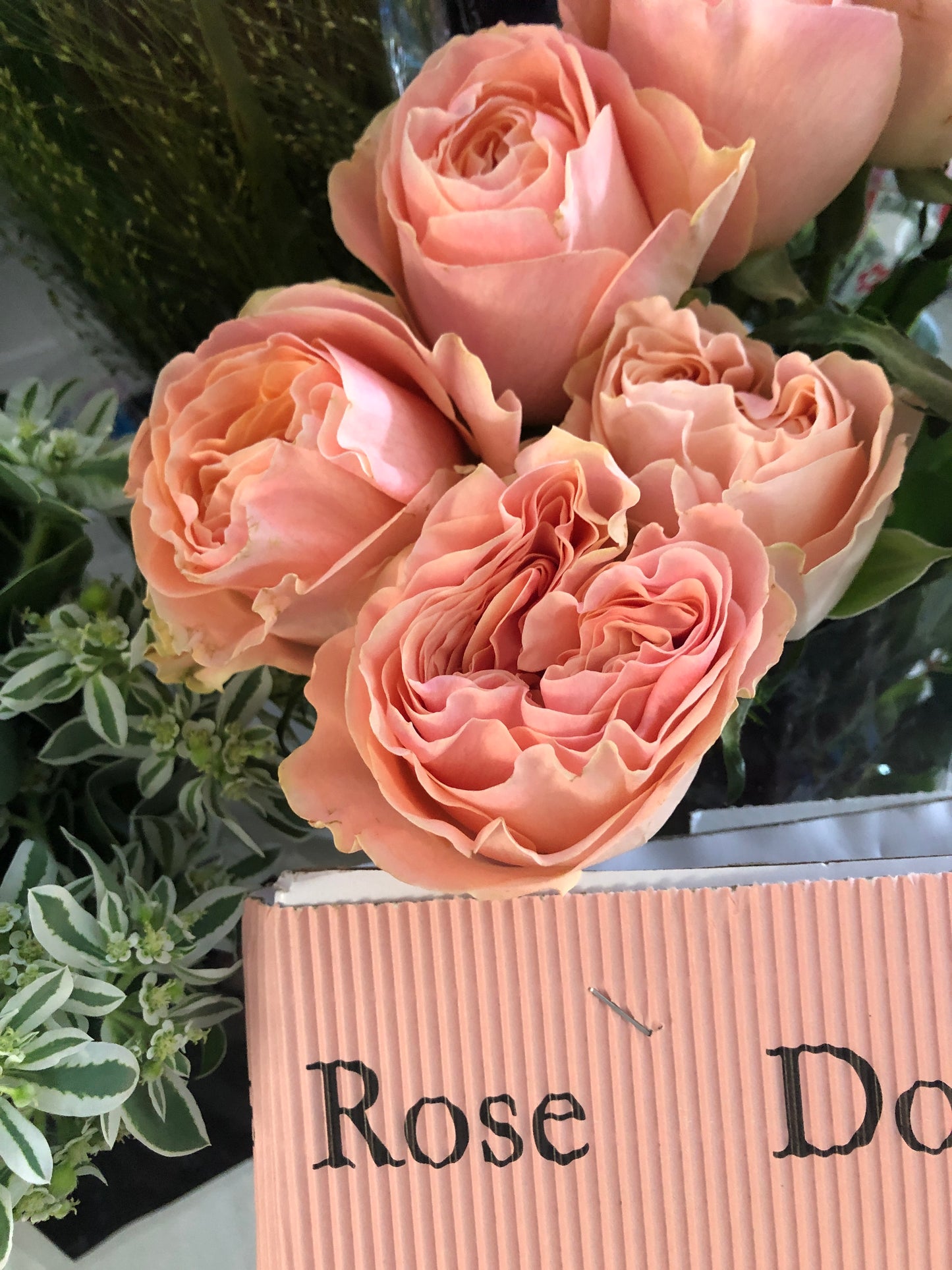 9 Heart Shape Garden Rose Bouquet 9枝庭園玫瑰花束