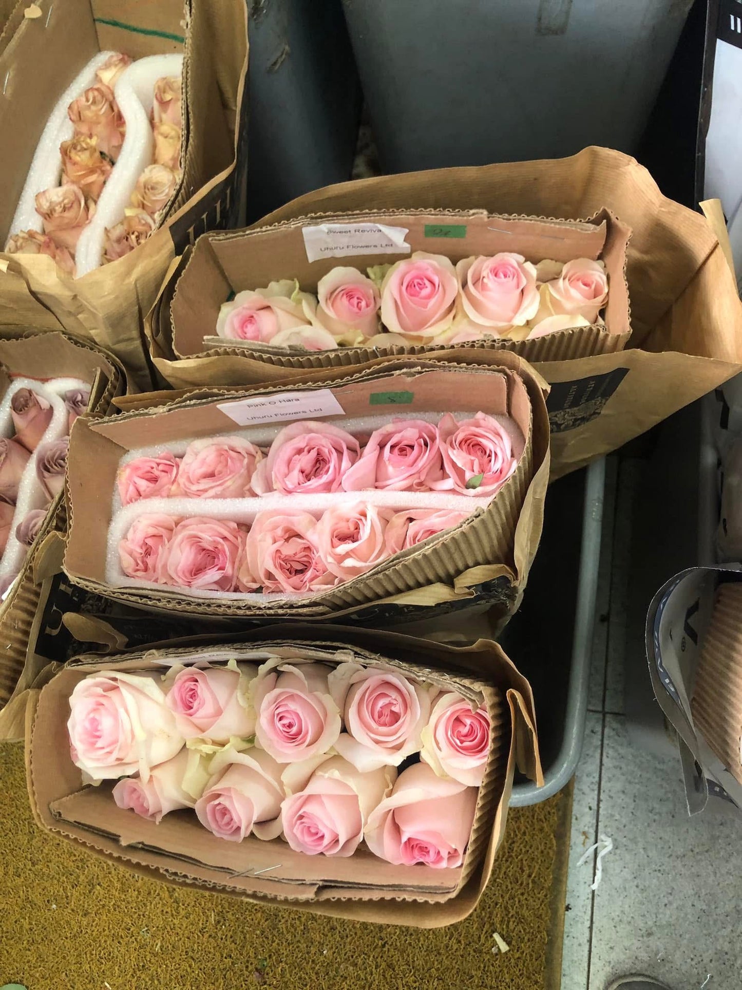 9 Imported Pink Rose & Deep Pink Rose Bouquet 九支進口粉紅色玫瑰加桃紅色玫瑰花束