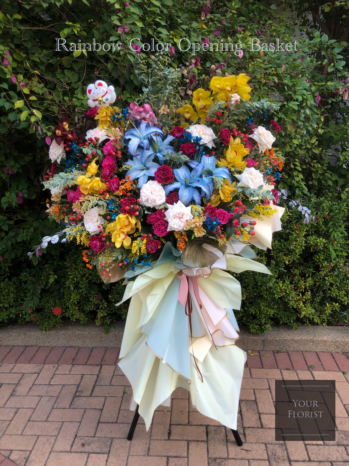 Orchid with Rainbow Color Opening Flower Basket 蕙蘭開張花籃