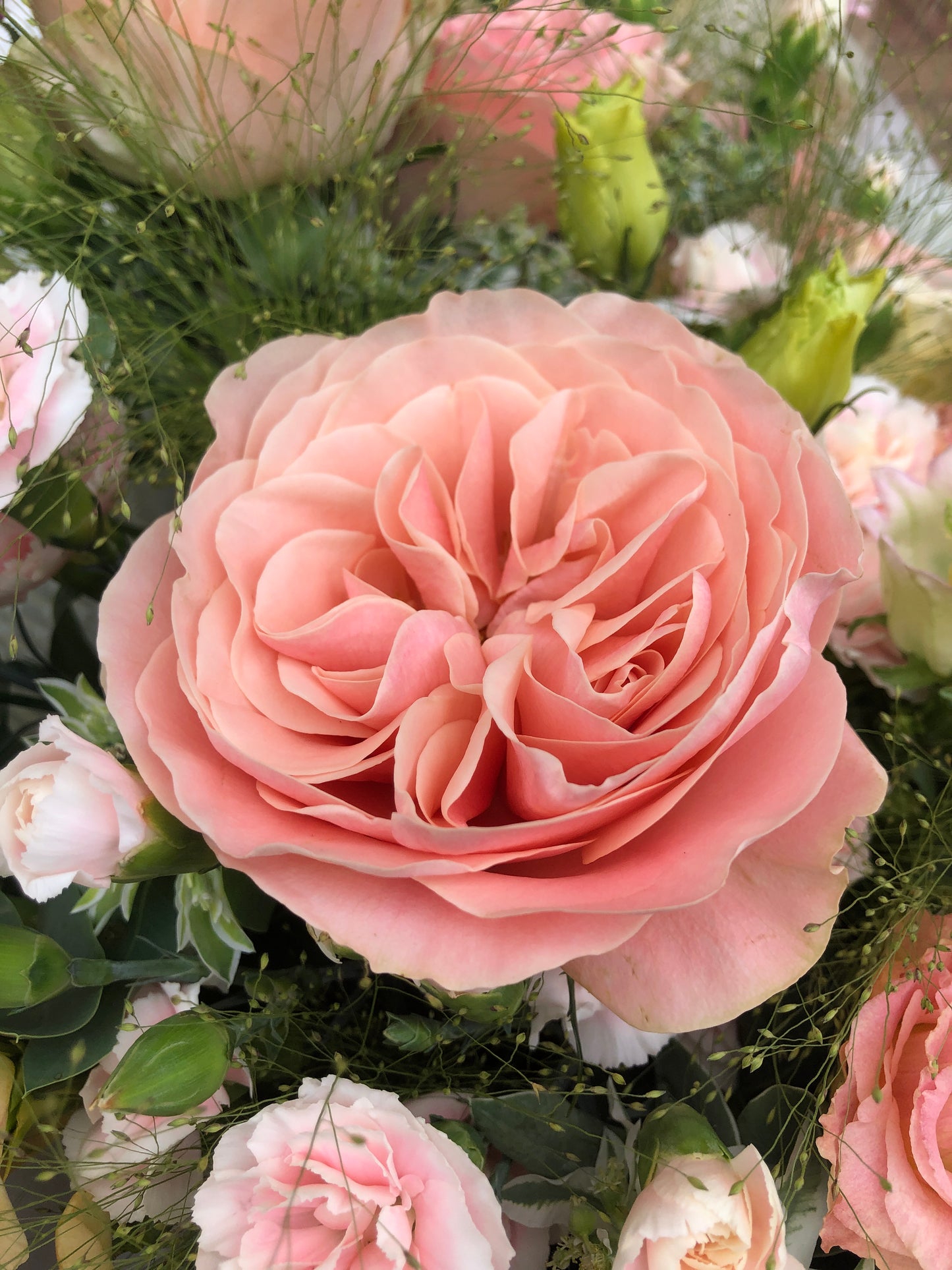 9 Heart Shape Garden Rose Bouquet 9枝庭園玫瑰花束