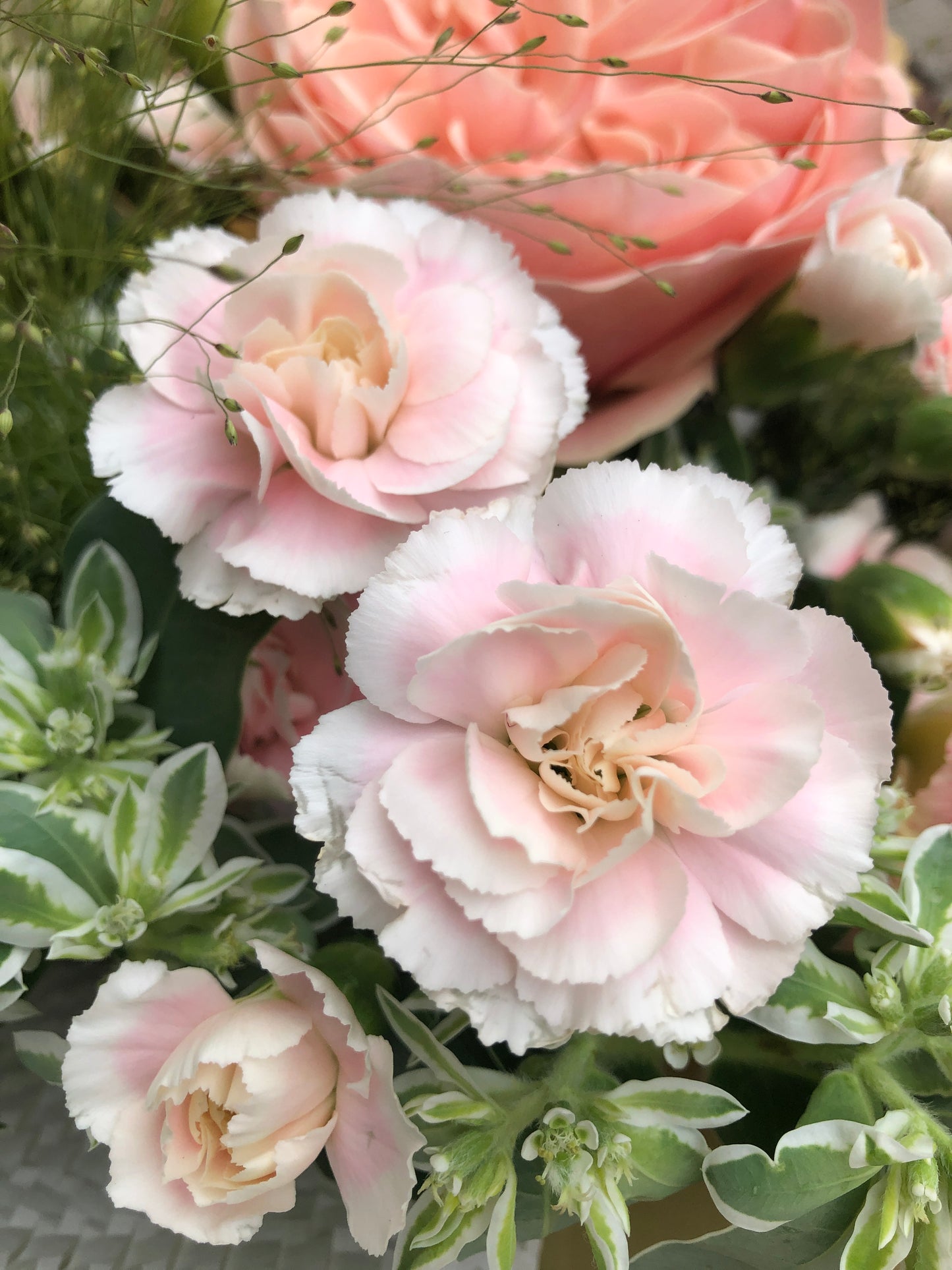 9 Heart Shape Garden Rose Bouquet 9枝庭園玫瑰花束