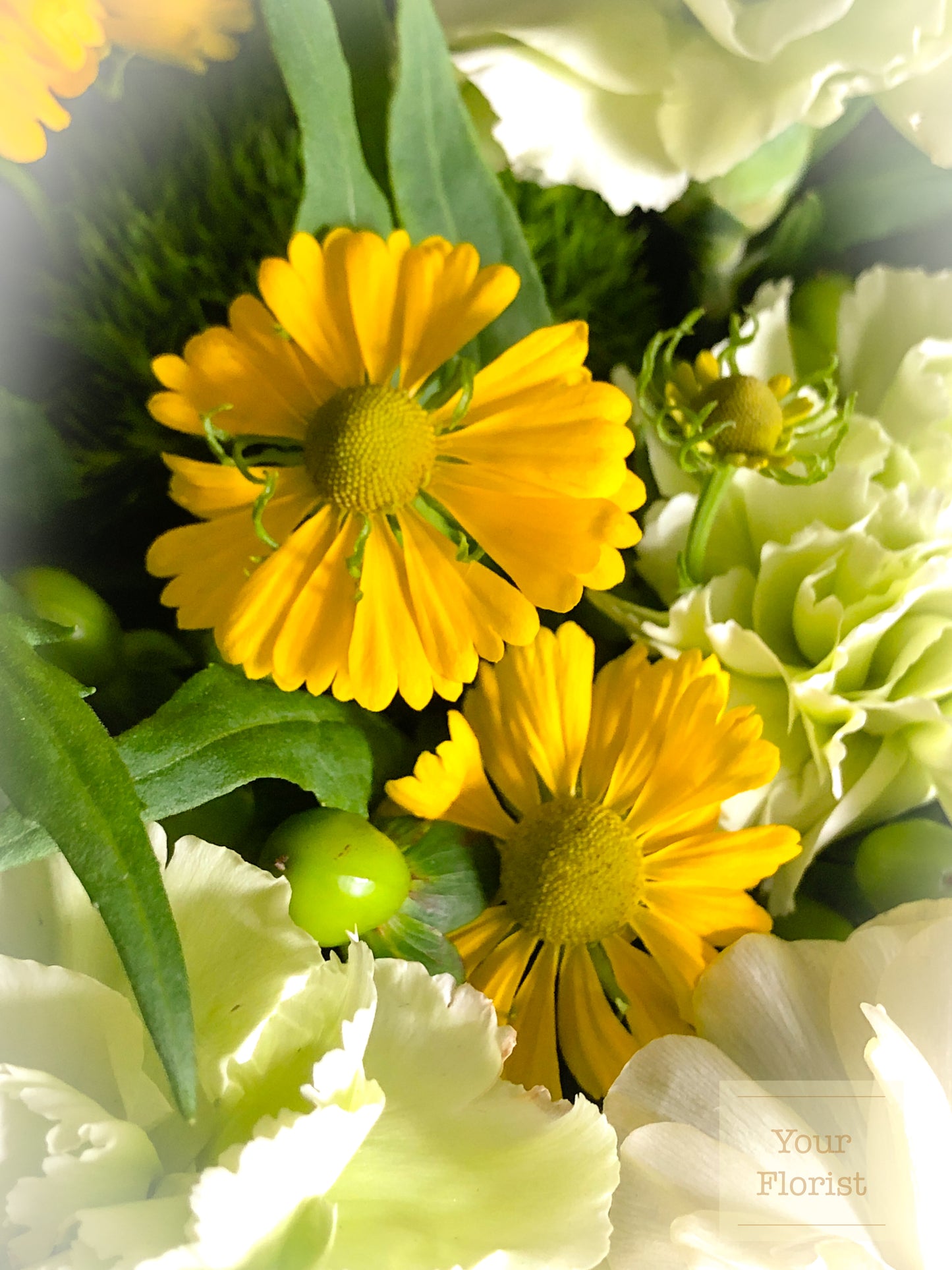 Light Green Carnation 青綠康乃馨蝴蝶洋牡丹花束