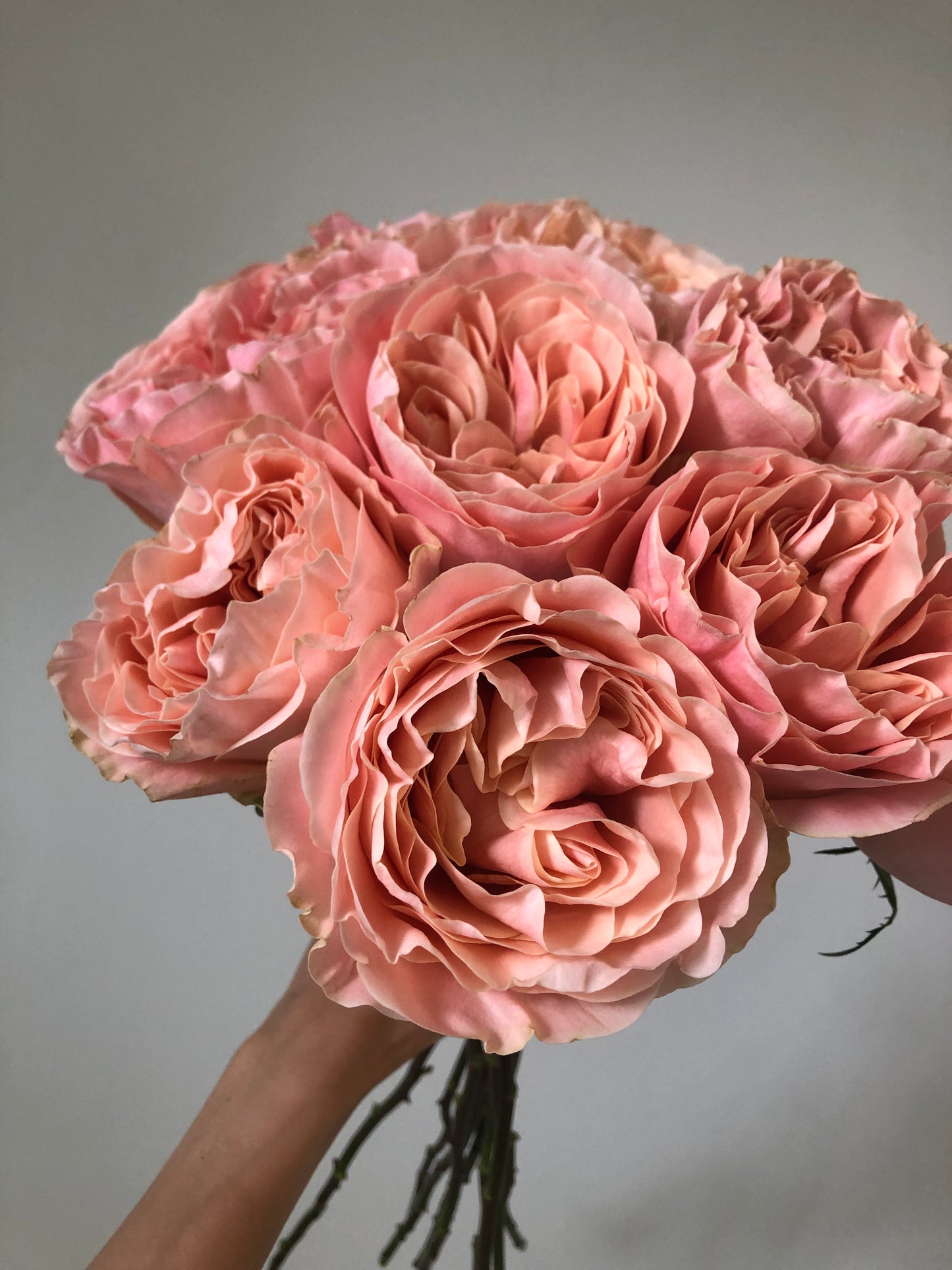 9 Heart Shape Garden Rose Bouquet 9枝庭園玫瑰花束