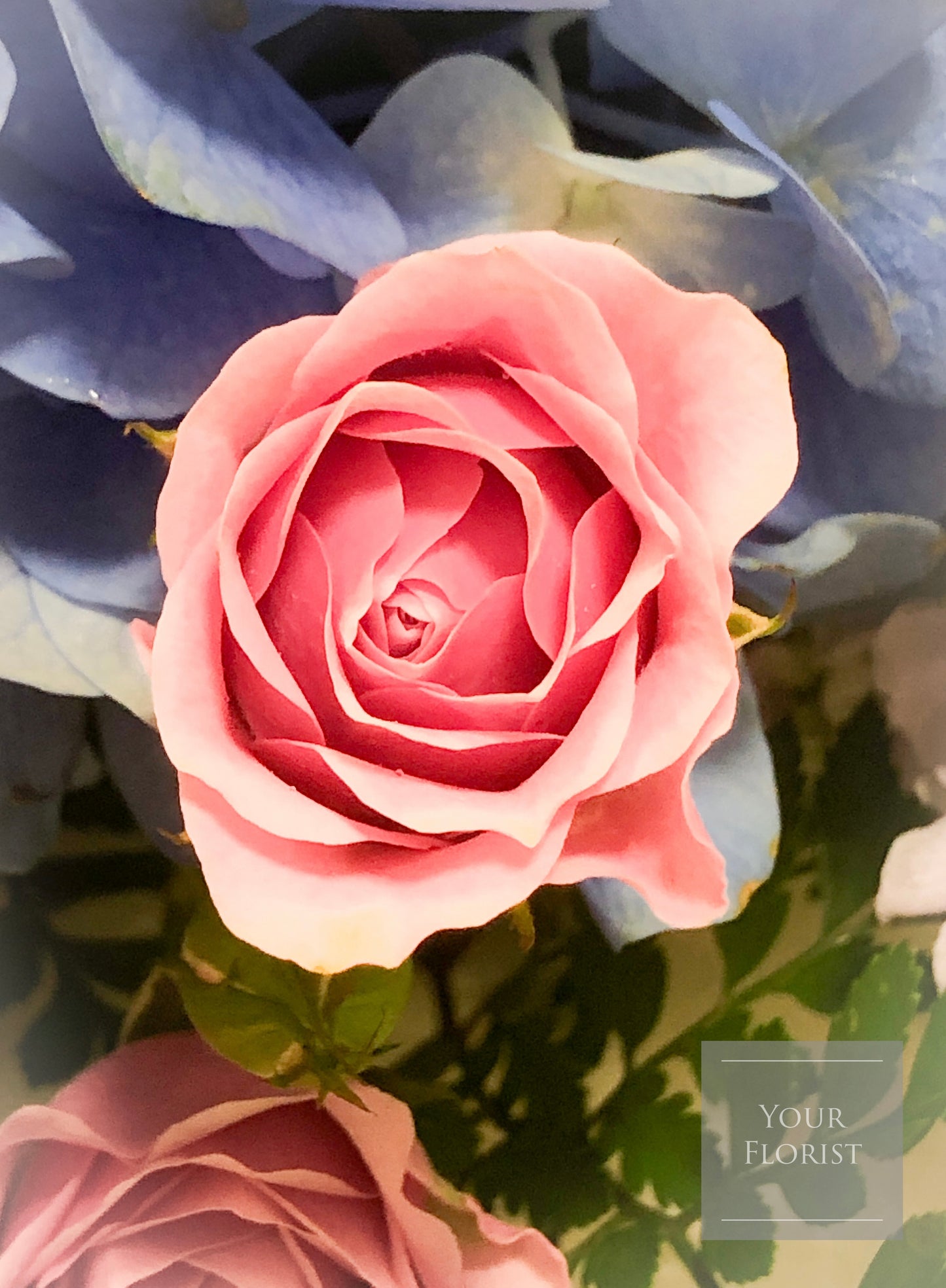 Hydrangeas & Rose Flower Box 繡球花玫瑰花盒