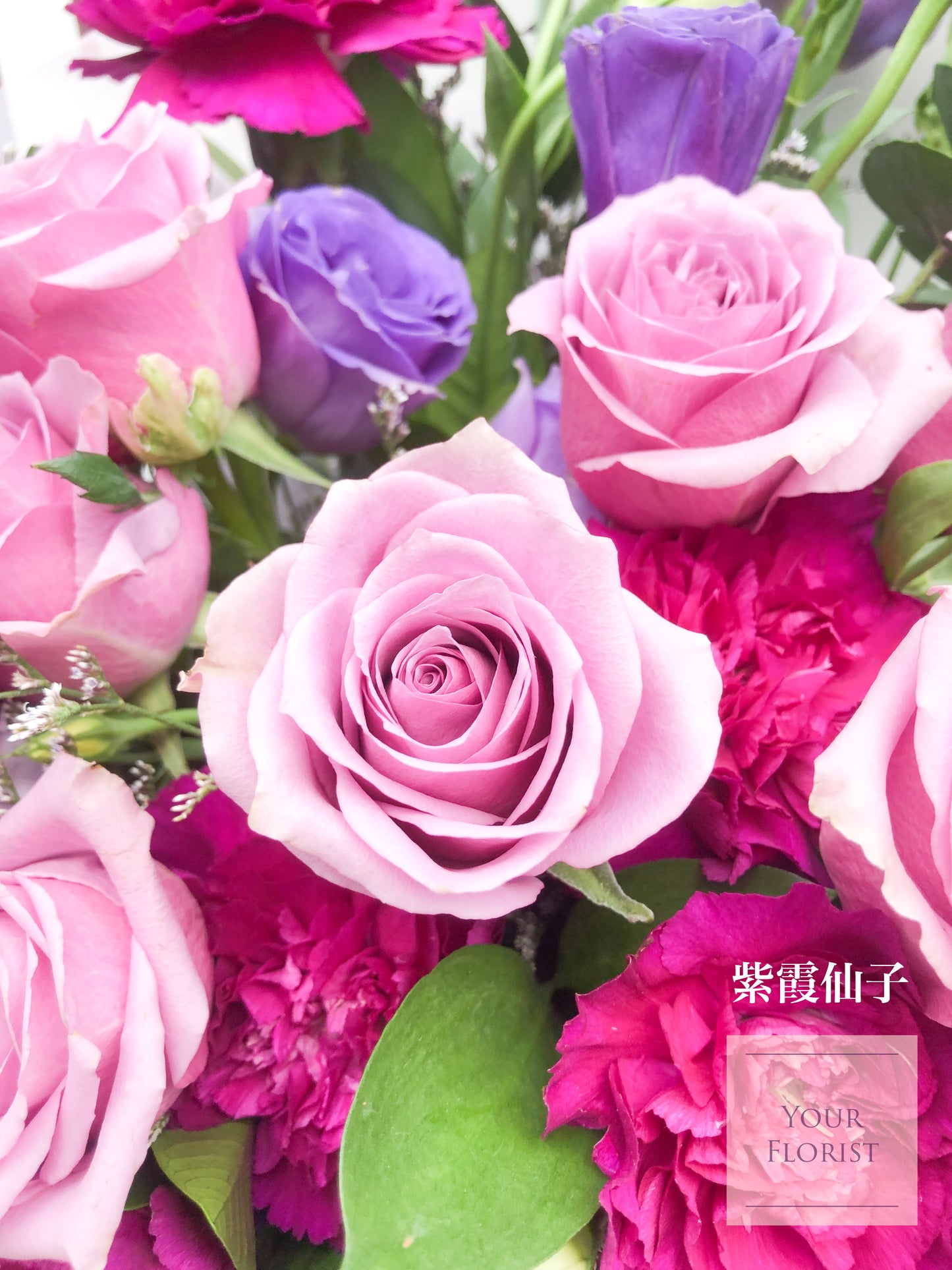 16 Purple Rose & Violet Carnation Bouquet 16紫玫瑰+桔梗+紫紅康乃馨花束