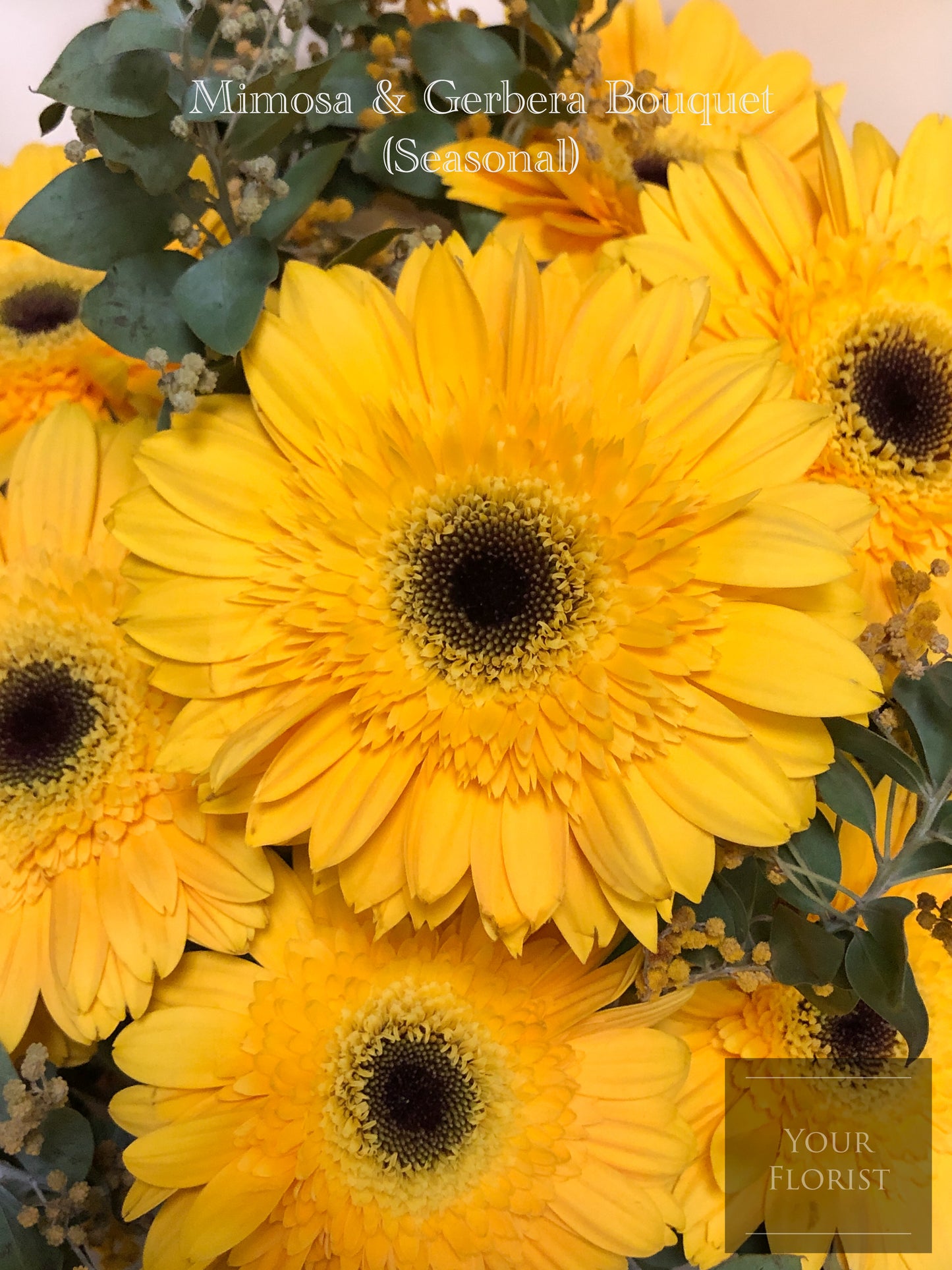 Mimosa & Gerbera Bouquet (Seasonal) 金合歡太陽菊花束（季節性）