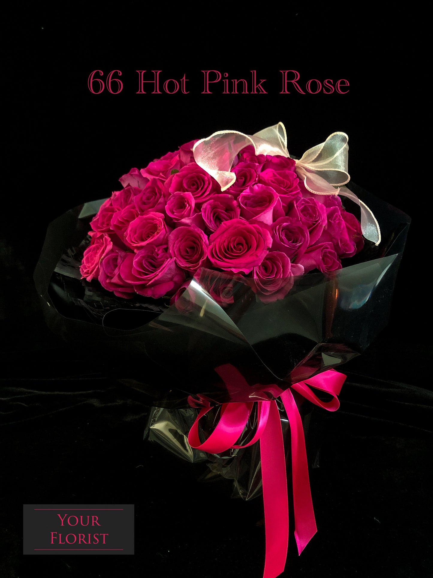 66Deep Pink Rose Bouquet 66枝桃紅玫瑰花束