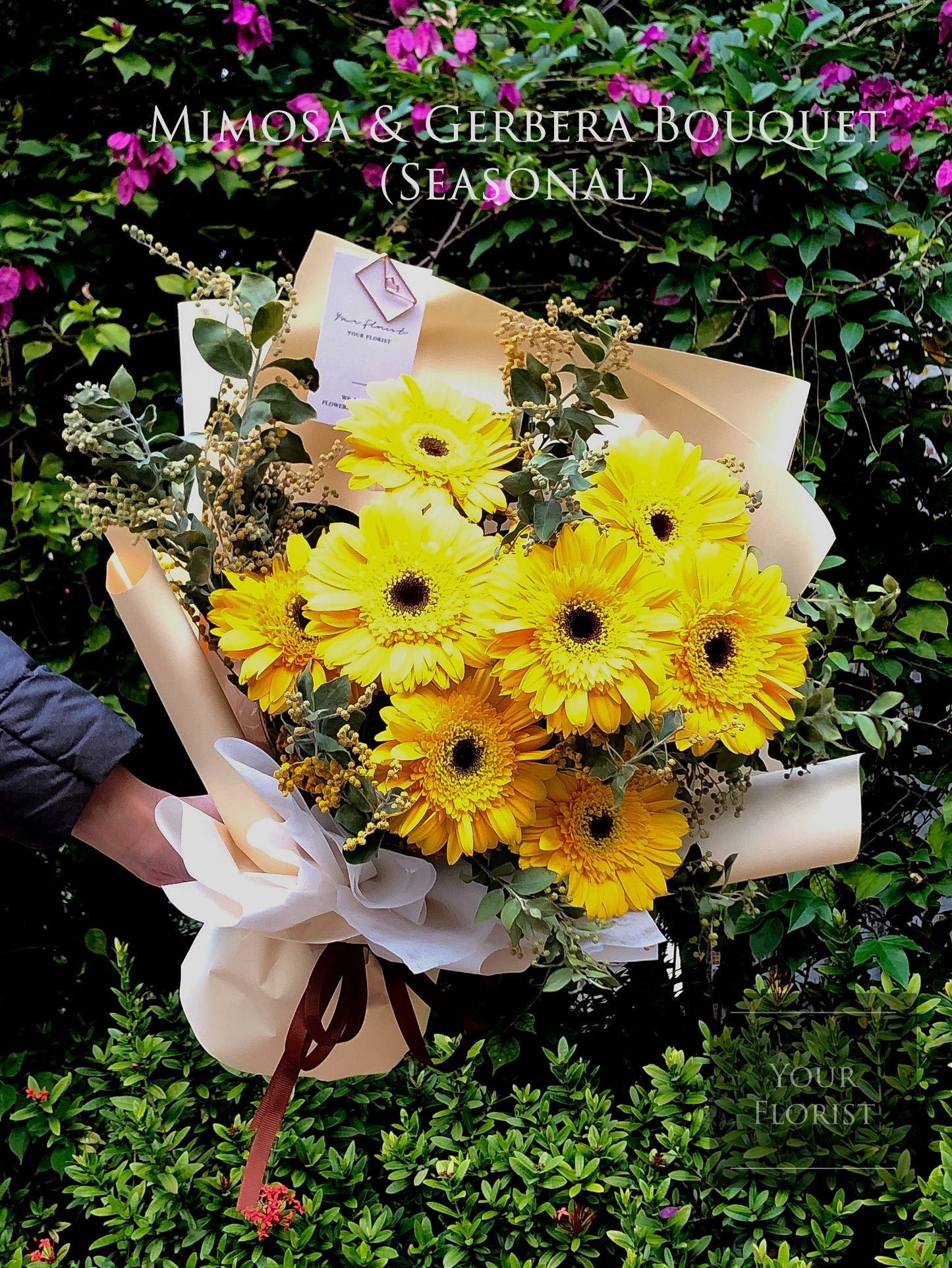 Mimosa & Gerbera Bouquet (Seasonal) 金合歡太陽菊花束（季節性）