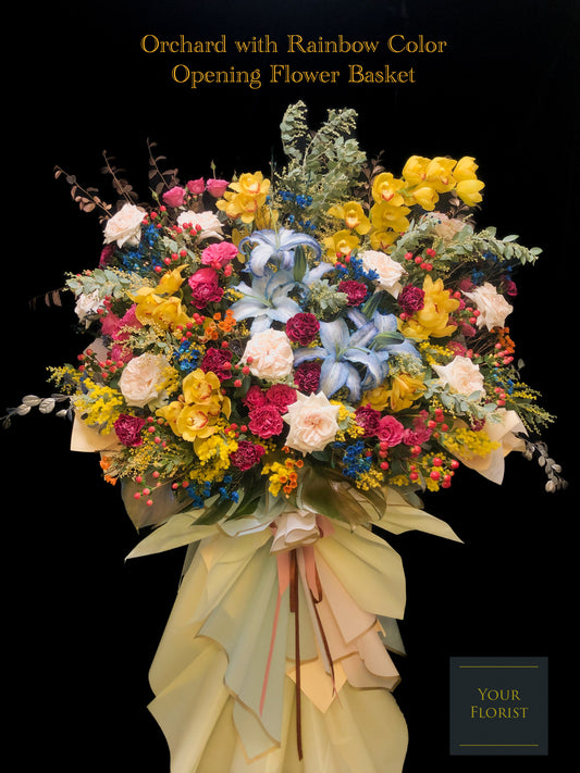 Orchid with Rainbow Color Opening Flower Basket 蕙蘭開張花籃