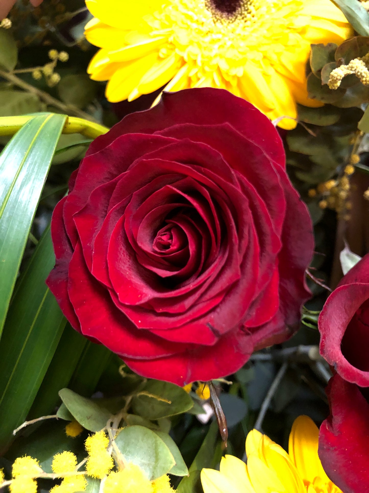 Red & Yellow Opening Flower Basket 紅黃開張花籃連木腳架（可選織葉或不織葉款