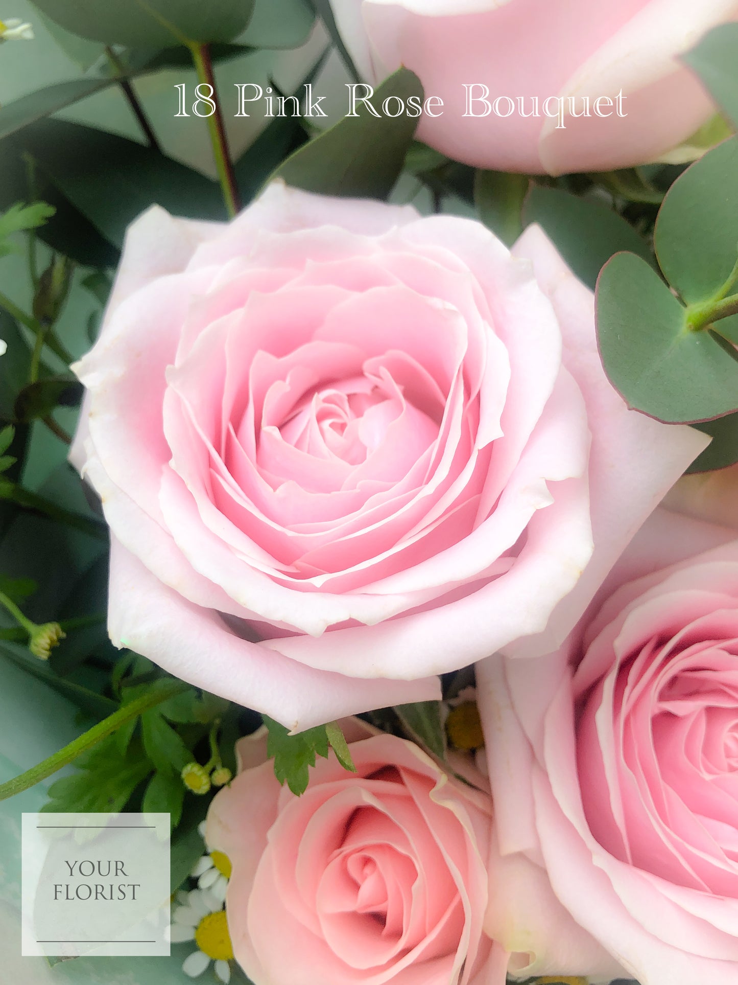 18 Pink Rose Bouquet