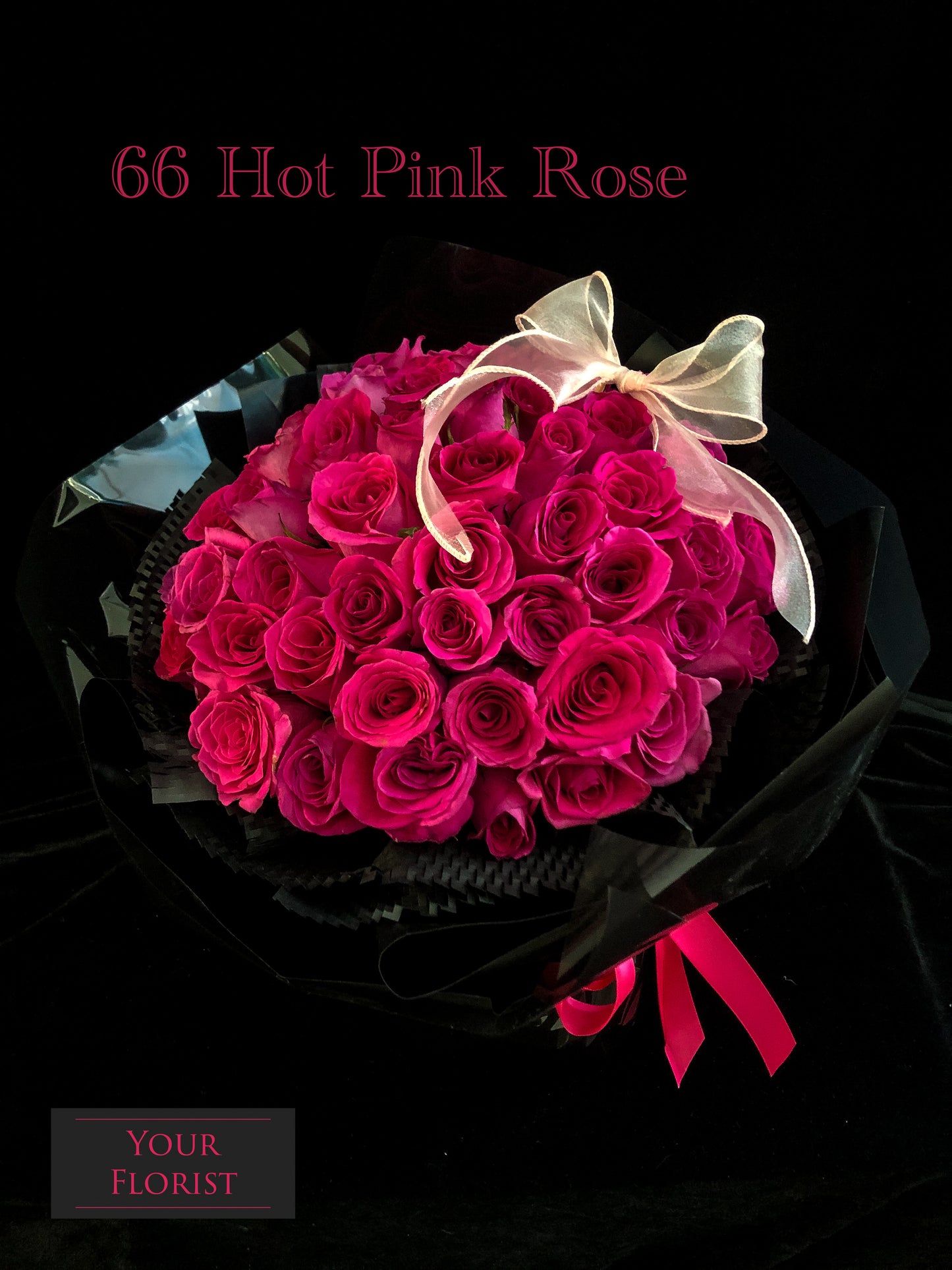 66Deep Pink Rose Bouquet 66枝桃紅玫瑰花束