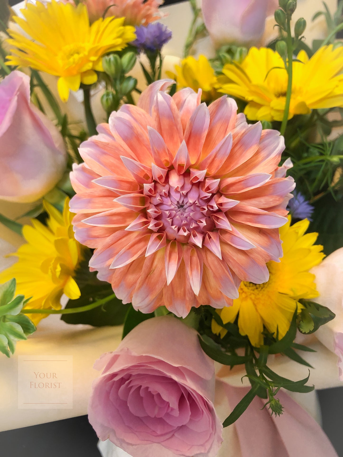 Gerbera & Rose Bouquet with pink or yellow packaging